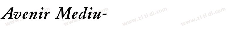 Avenir Mediu字体转换